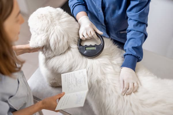 Identificación por microchip