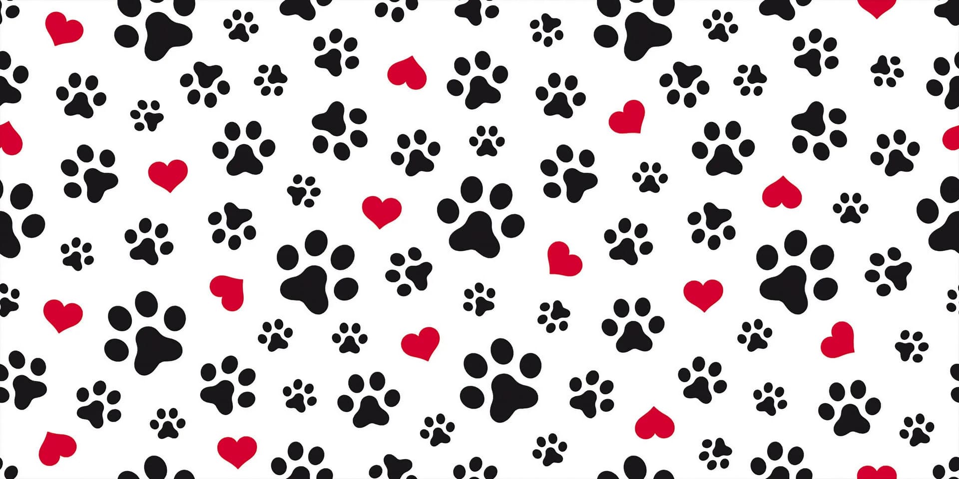 Noticias y artículos de interés de la Clínica Veterinaria San Roque