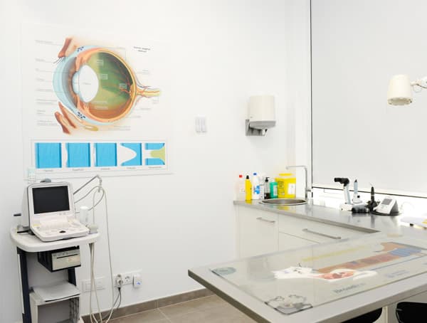 Servicios veterinarios en Santiago